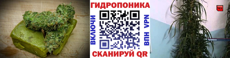 Canna-Cookies конопля Вилюйск