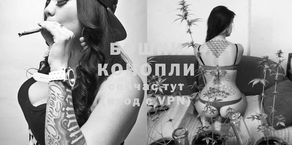 дживик Верхний Тагил