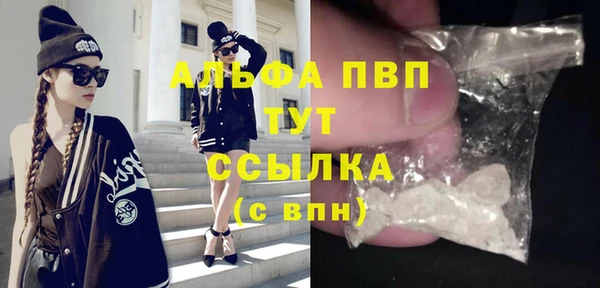 дживик Верхний Тагил