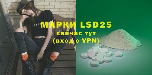 spice Верея