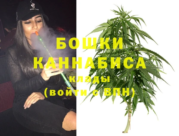 PSILOCYBIN Братск