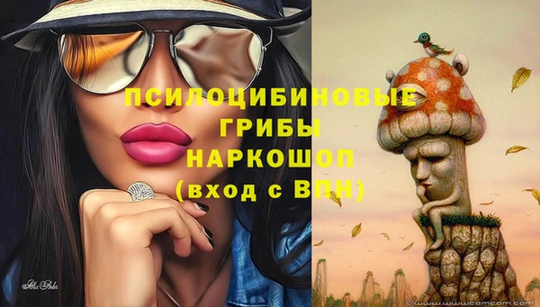 Альфа ПВП Бородино