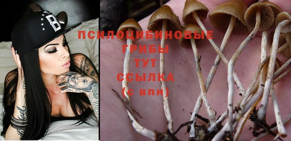 мдма Лихославль