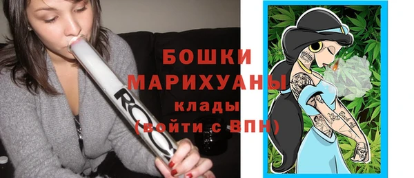 дживик Верхний Тагил