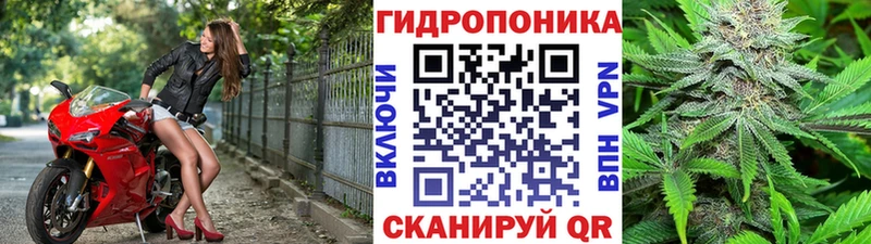 где можно купить   Вилюйск  Канабис Bruce Banner 